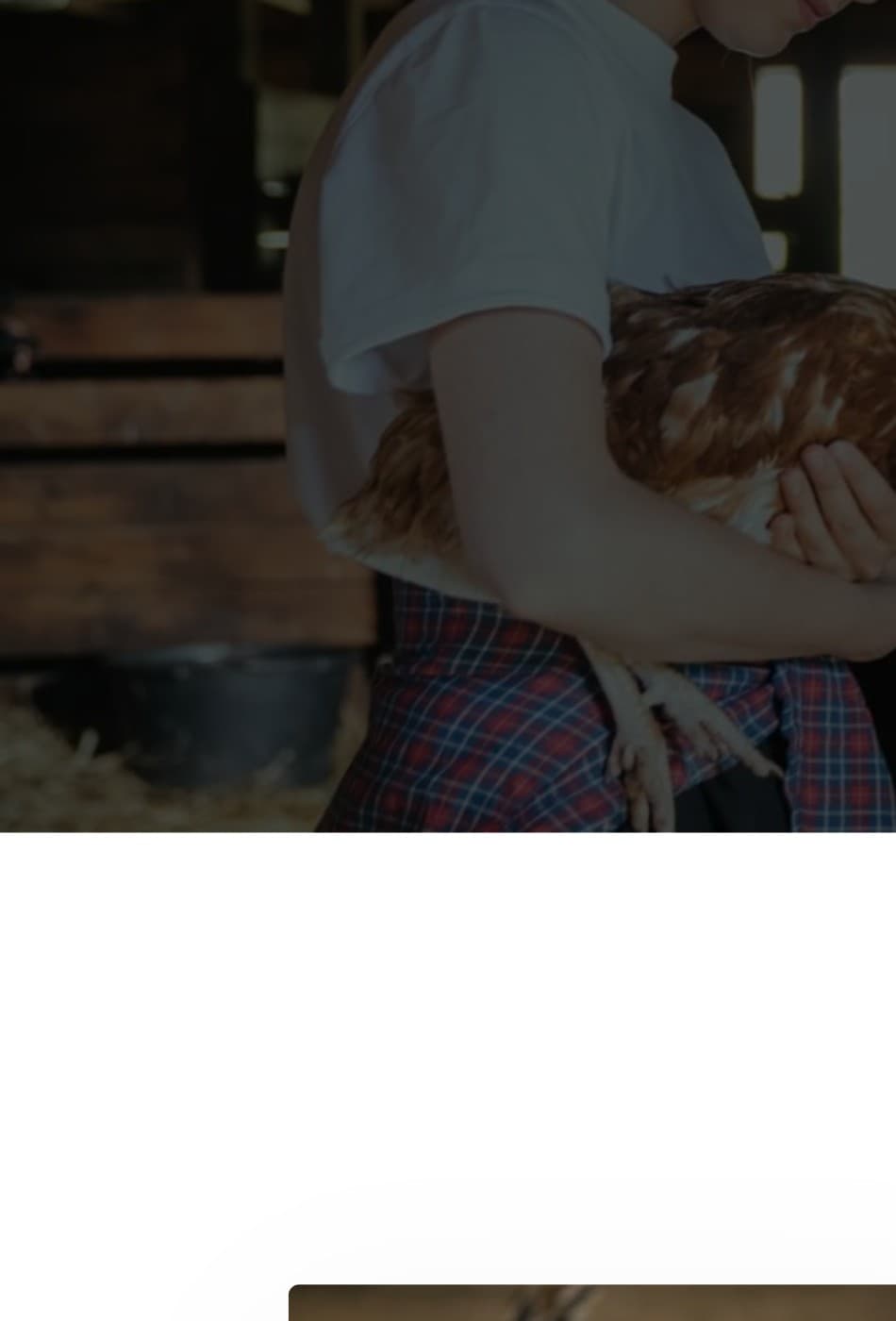 Farm team with poultry