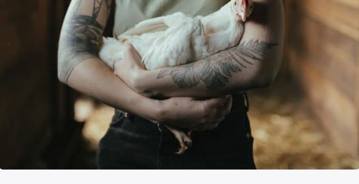 A farmer holding a healthy white hen